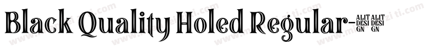 Black Quality Holed Regular字体转换